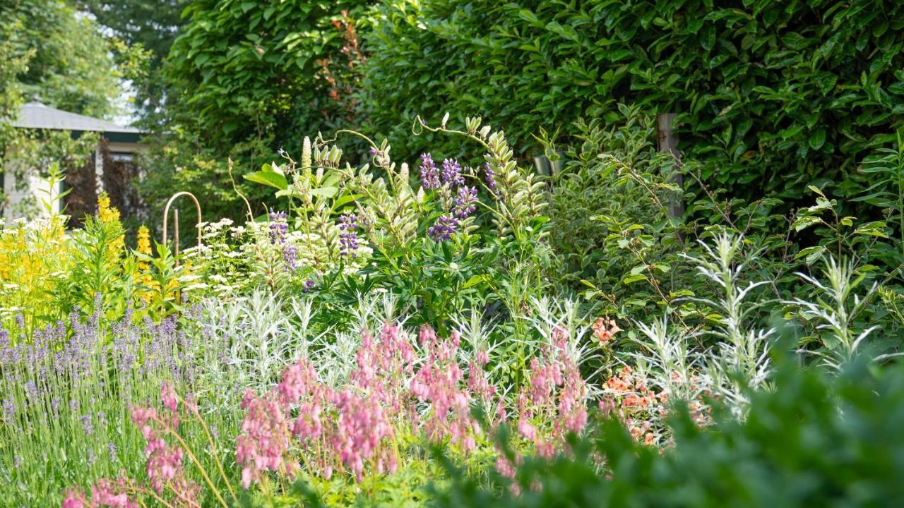 Bed and Breakfast De Anselier Ansen Exterior foto